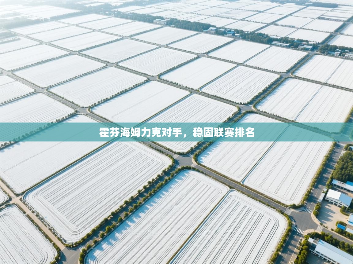 霍芬海姆力克对手，稳固联赛排名  第1张