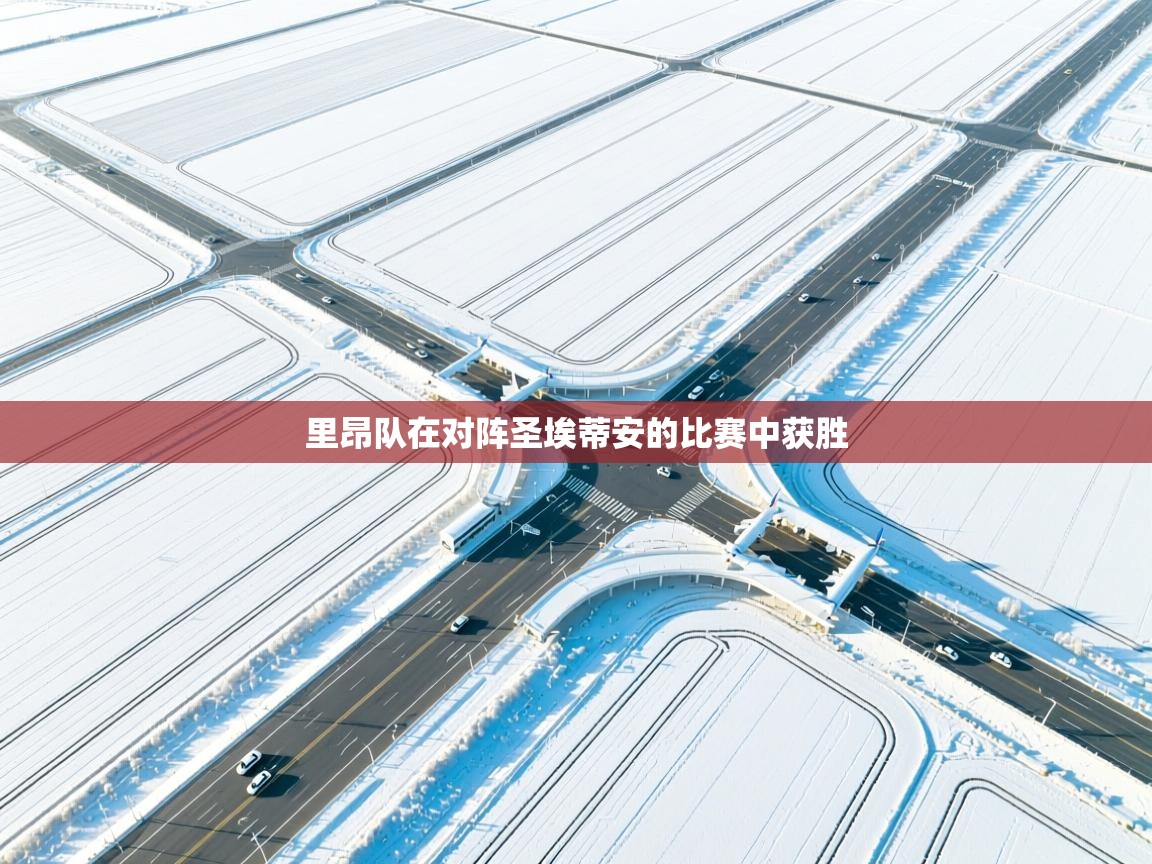 里昂队在对阵圣埃蒂安的比赛中获胜  第1张