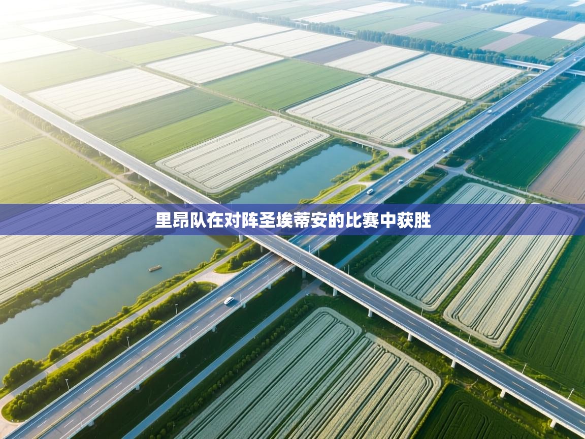 里昂队在对阵圣埃蒂安的比赛中获胜  第2张