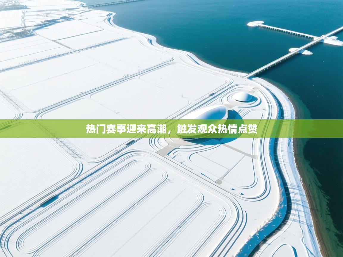 热门赛事迎来高潮,触发观众热情点赞 第2张